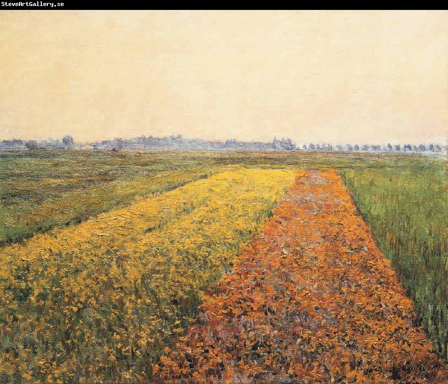 Gustave Caillebotte The Yellow Fields at Gennevilliers